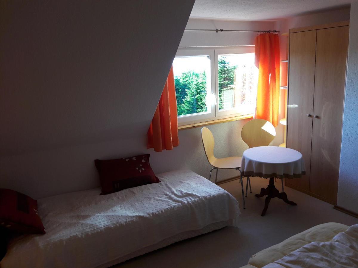 Ferienhaus Fernblick Алтенберг Източен Ерцгебирге Екстериор снимка